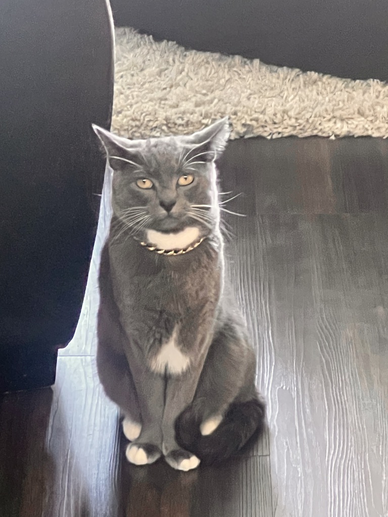 The Invisible Threads: Unraveling the Stories We Didn’t&nbsp;Choose