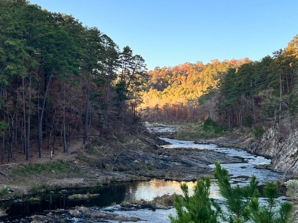 The Quiet Revolution of Outgrowing&nbsp;Yourself