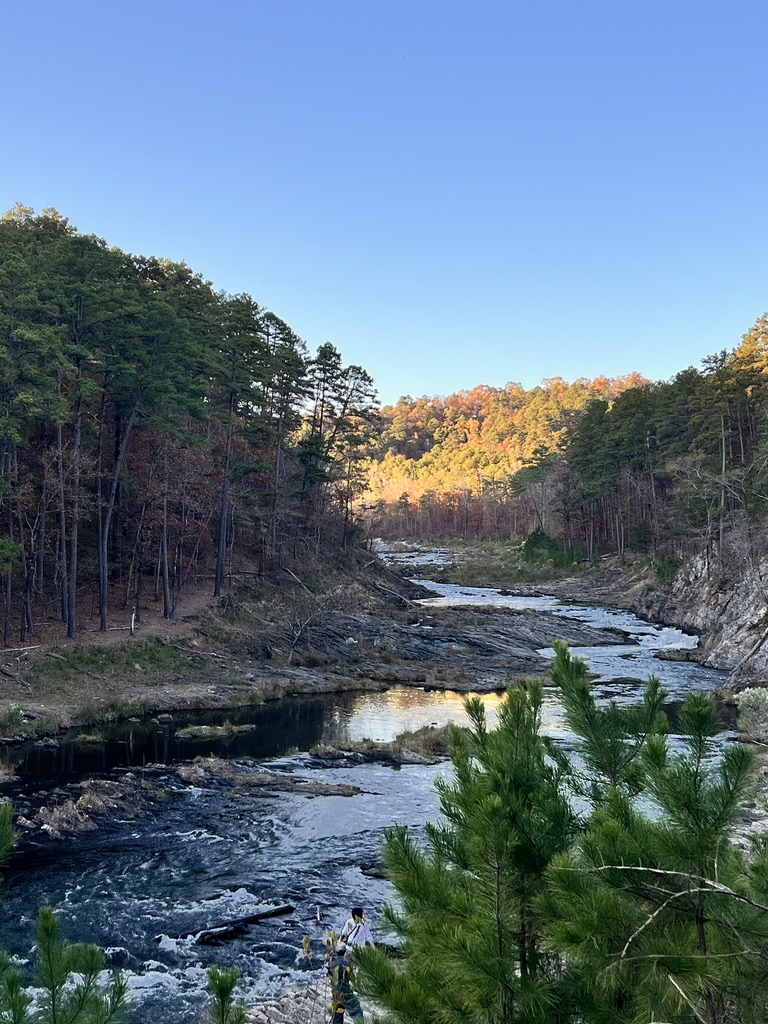 The Quiet Revolution of Outgrowing&nbsp;Yourself